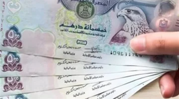 سعر الدرهم الإماراتي.. استقرار ملحوظ أمام الجنيه المصري في تعاملات البنوك اليوم